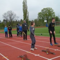 17-8_-1.jpg